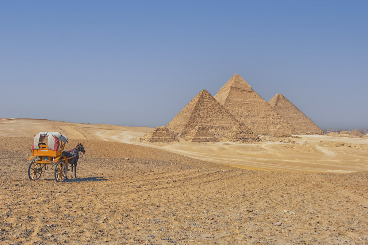 Pyramids of Giza Wall Mural in your room