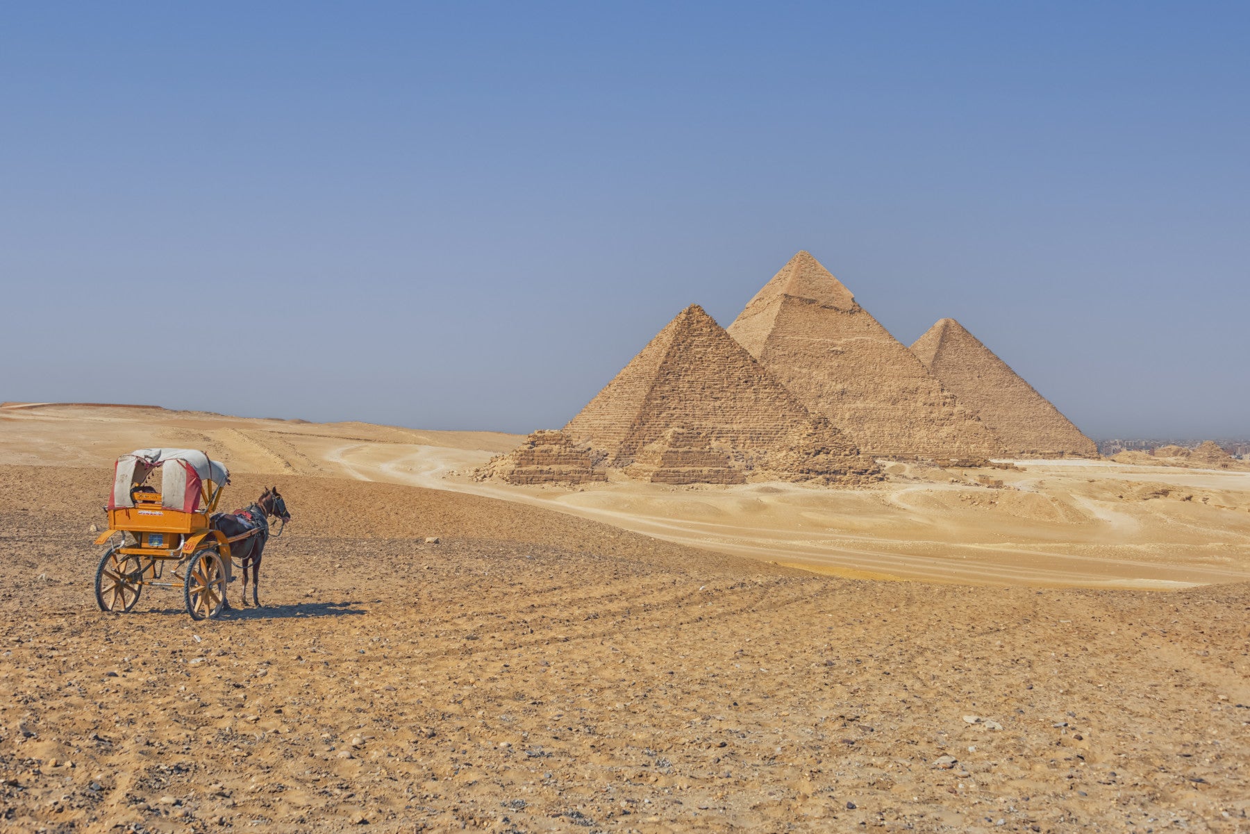 Pyramids of Giza Wall Mural
