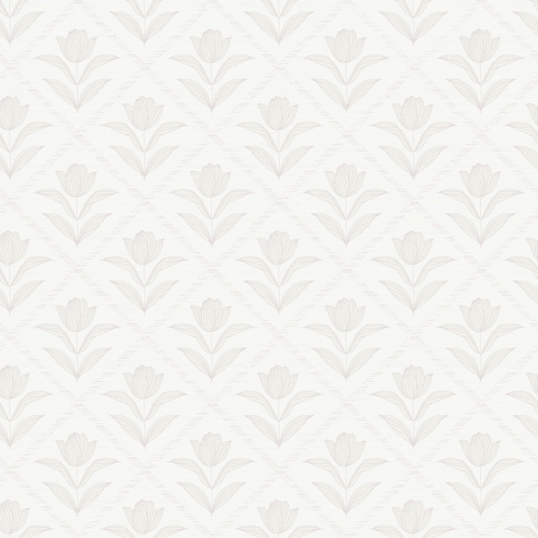Tulip Cream Wallpaper⁠