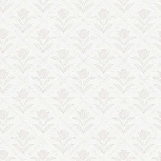 Tulip Cream Wallpaper⁠