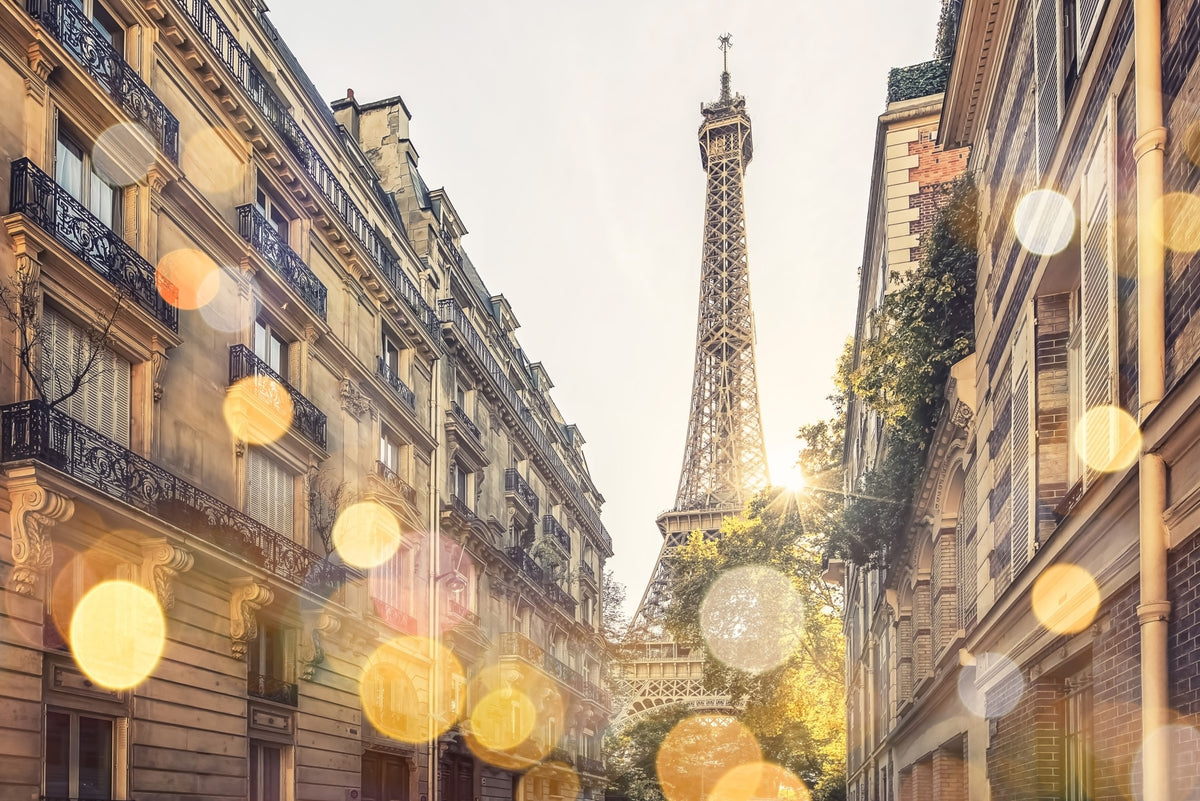 Parisian Glow Wall Mural in your room