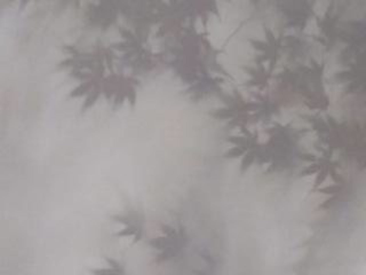 Soft Foliage Haze Wall Mural in your room