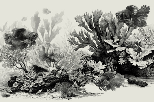 The Aquarium - Black & Cream Wall Mural
