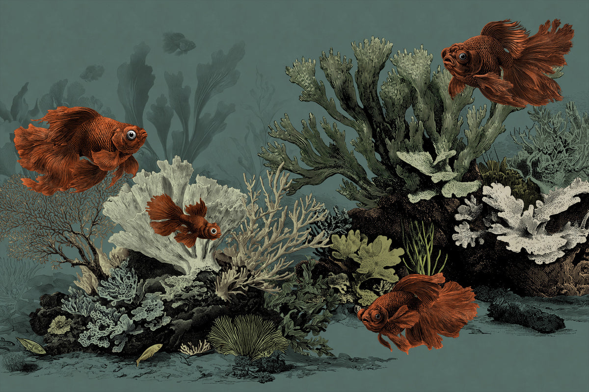 The Aquarium - Petrol Wall Mural in your room