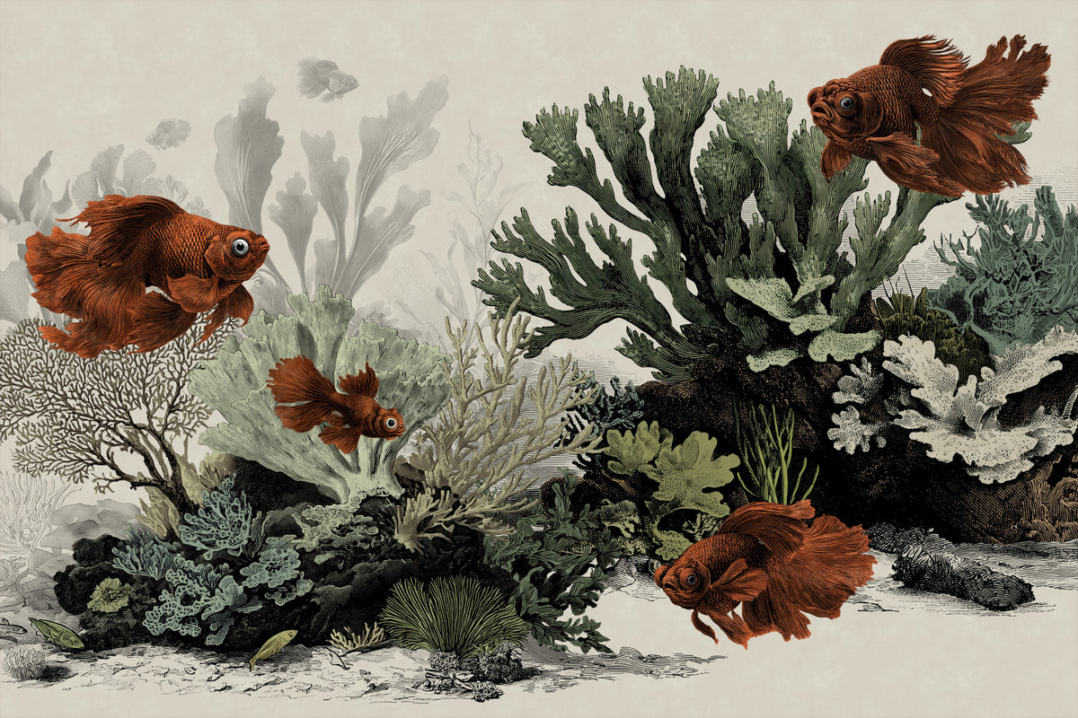 The Aquarium - Antique Paper Wall Mural in your room