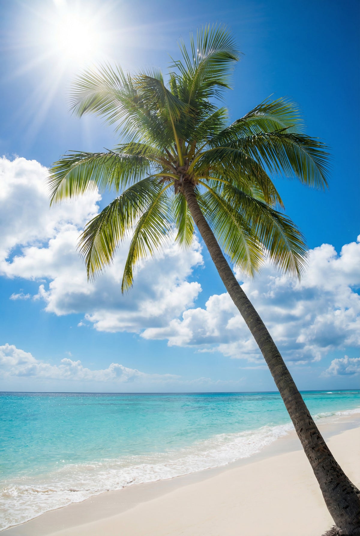 Sun-Kissed Palms Wall Mural in your room