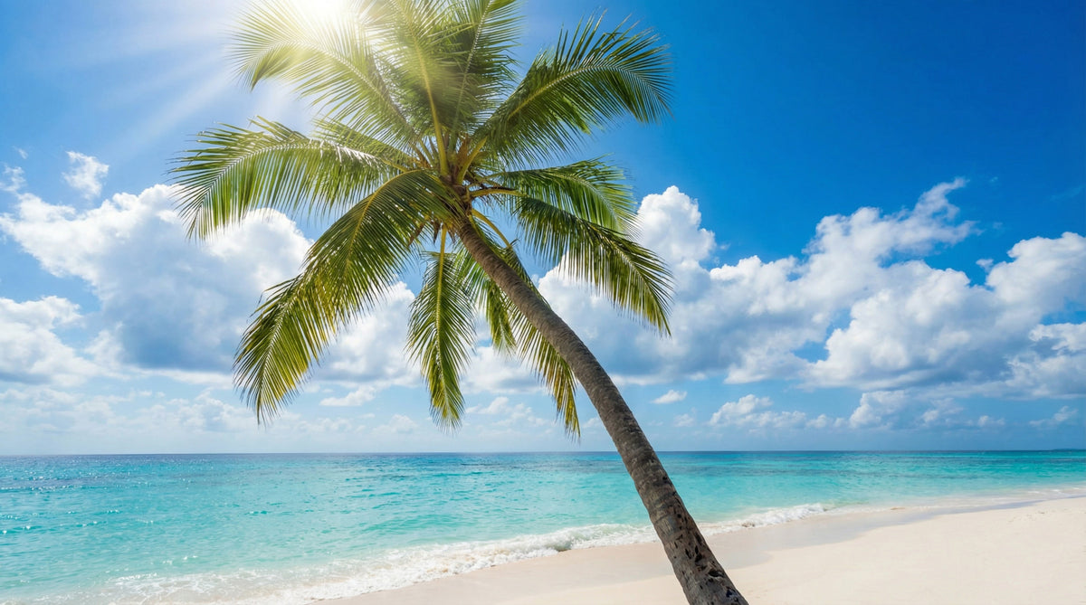Island Dream Wall Mural in your room — zoomed