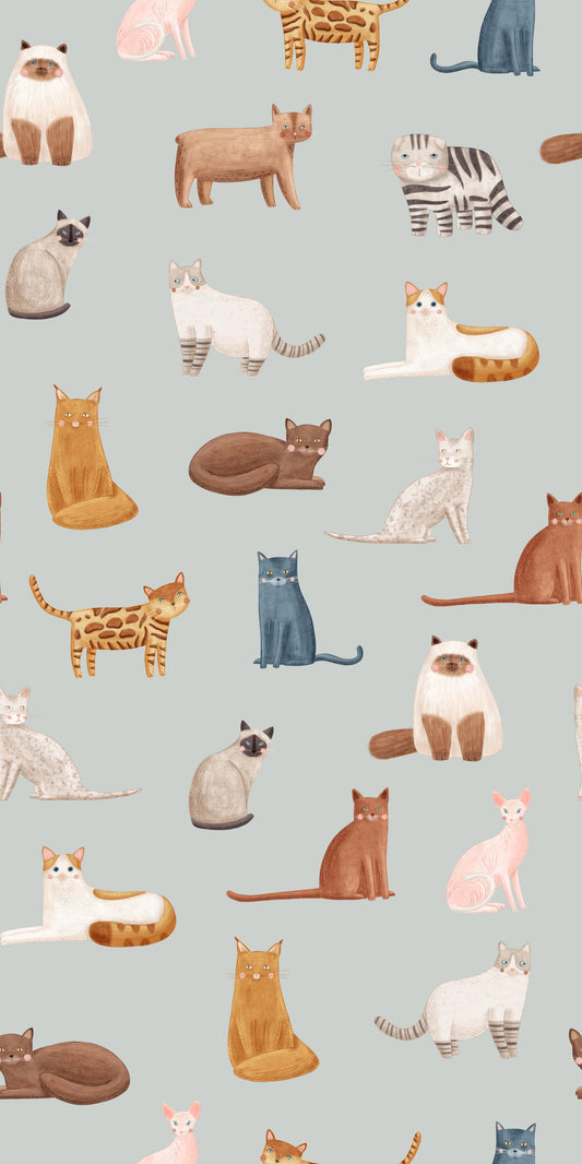 Cool Cats in blue Wallpaper⁠