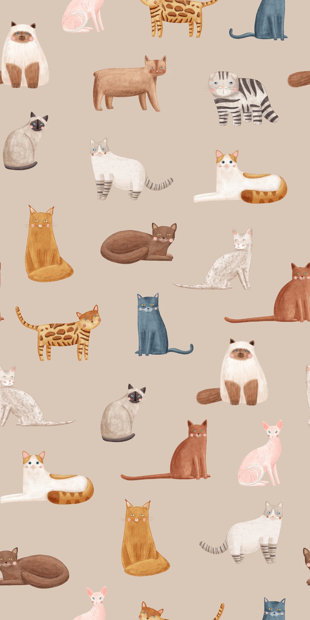 Curious Cats in beige Wallpaper⁠ in your room