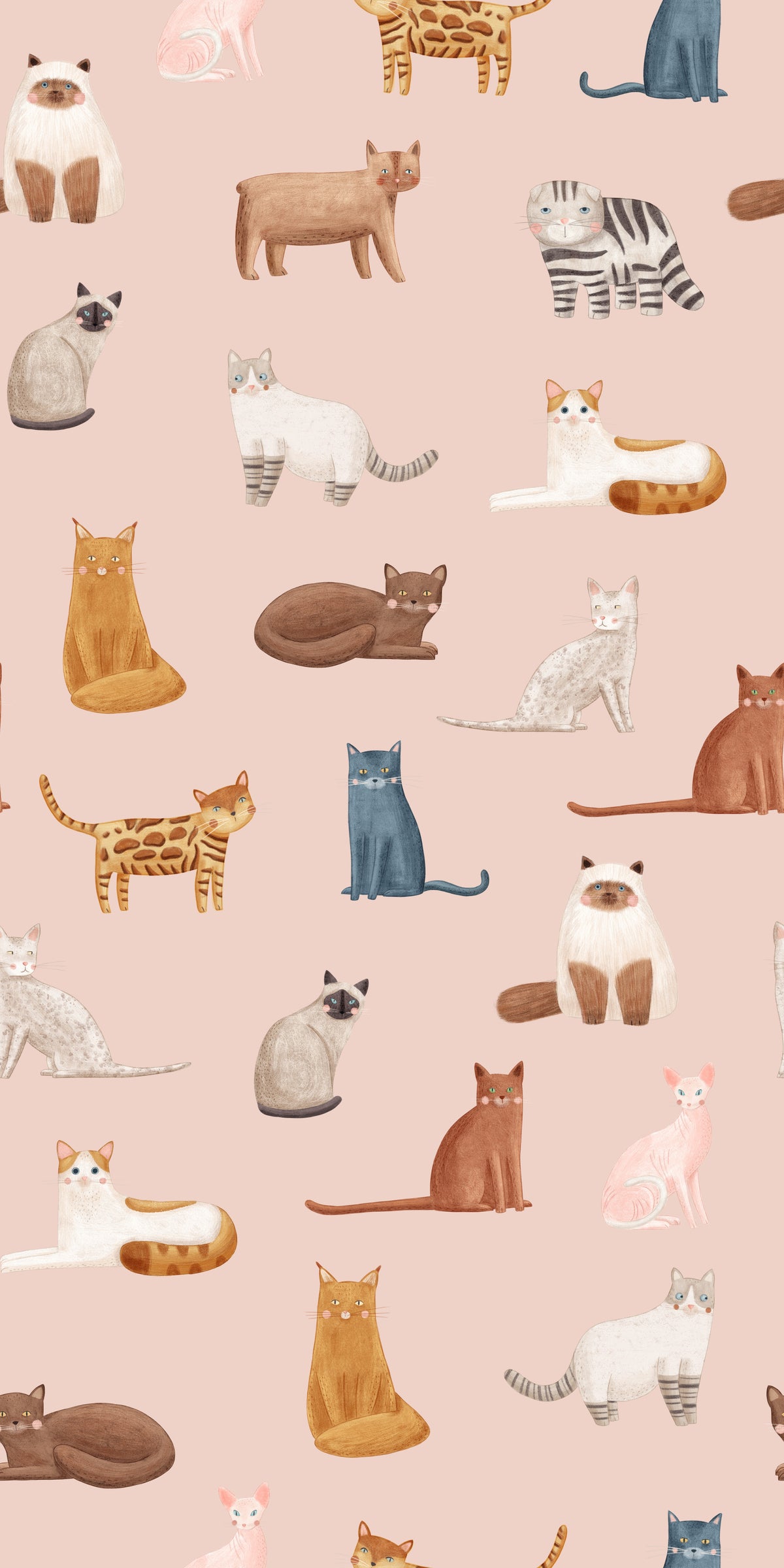 Cool Cats in Pink Wallpaper⁠ in your room