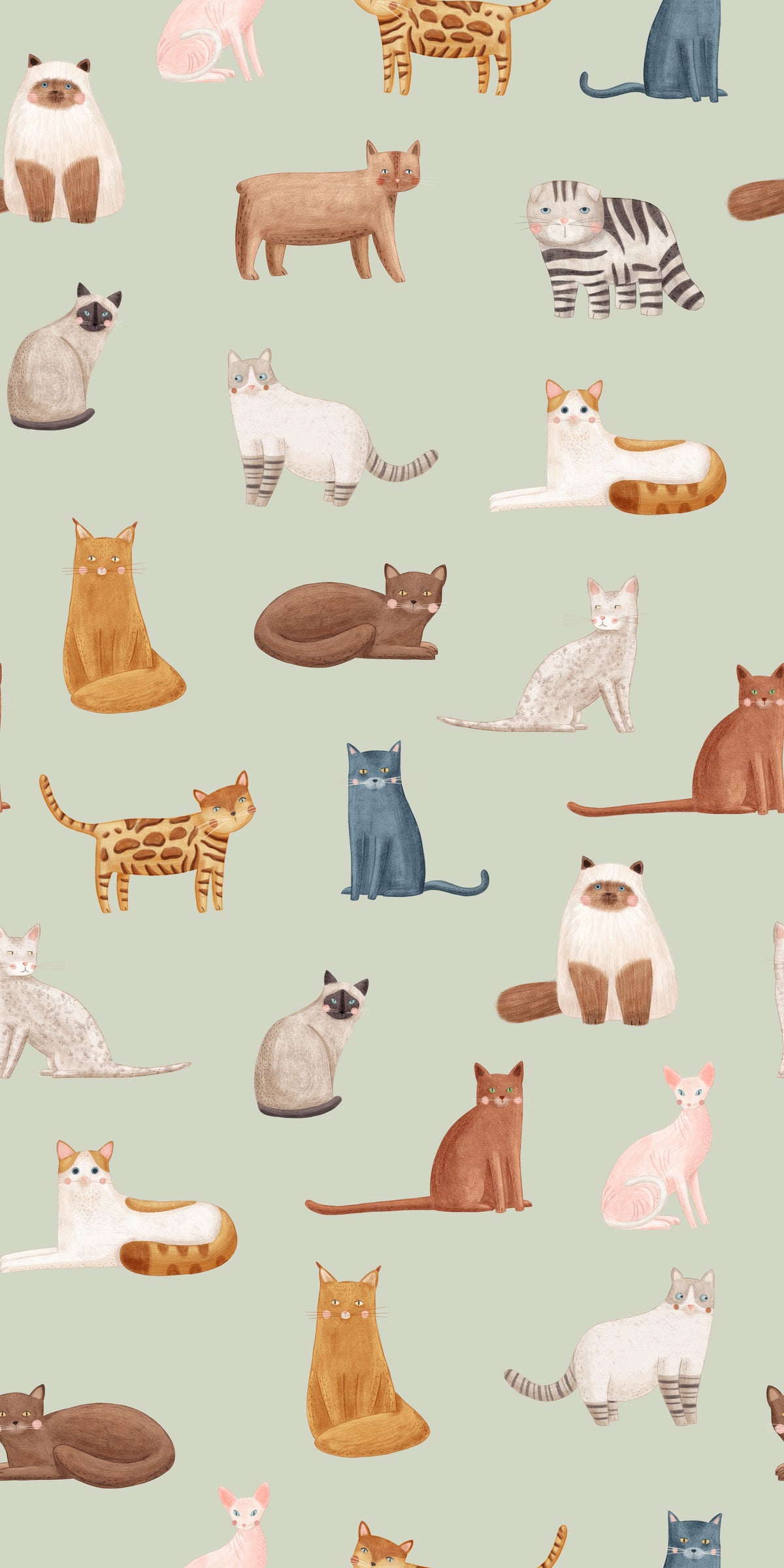 Cool Cats in Sage Green Wallpaper⁠ in your room — zoomed