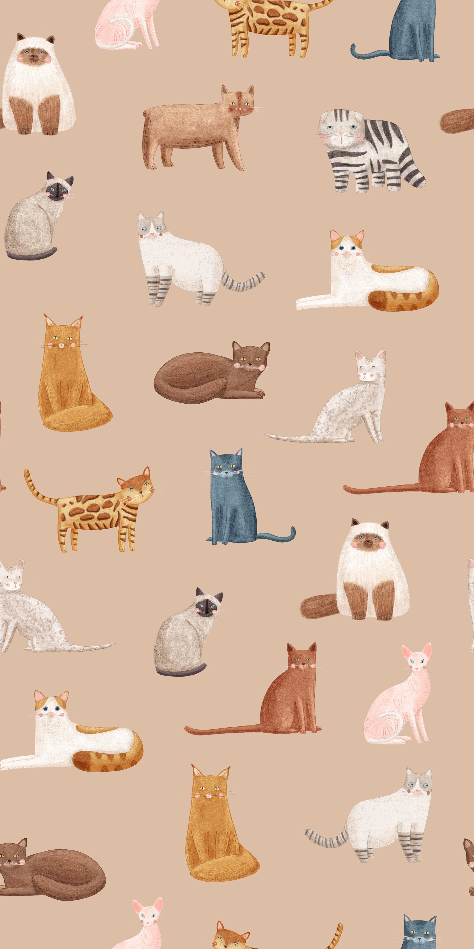 Cats Galore in toffee color Wallpaper⁠