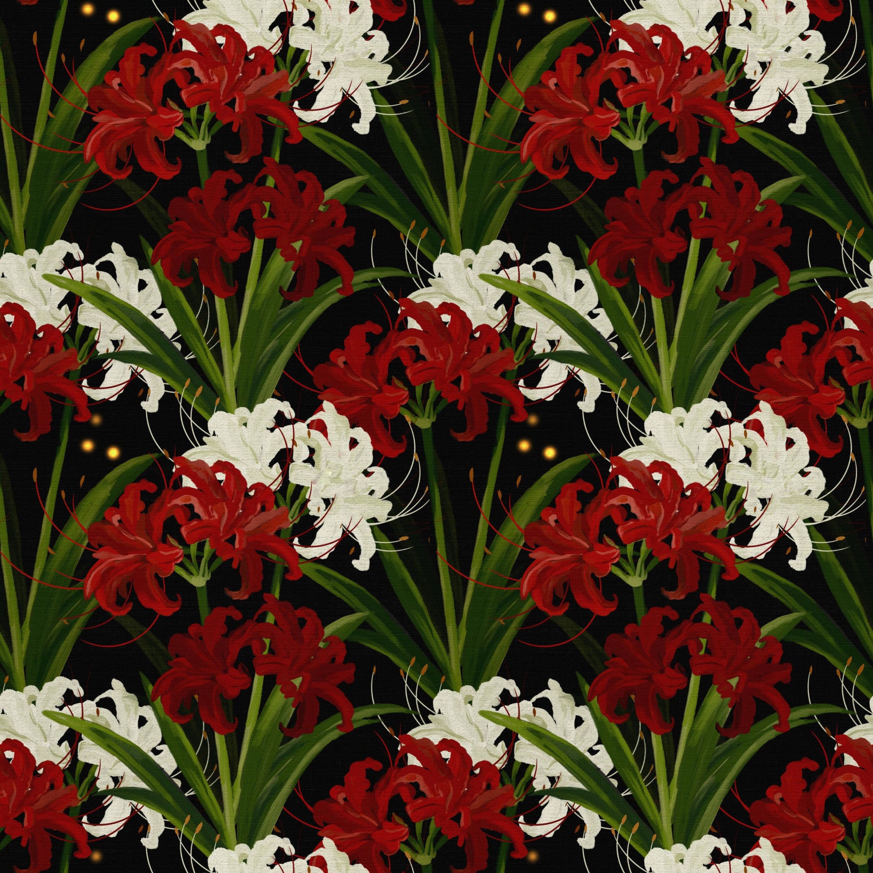 Lycoris Noir Midnight Romance white red flowers bloom Wall Mural