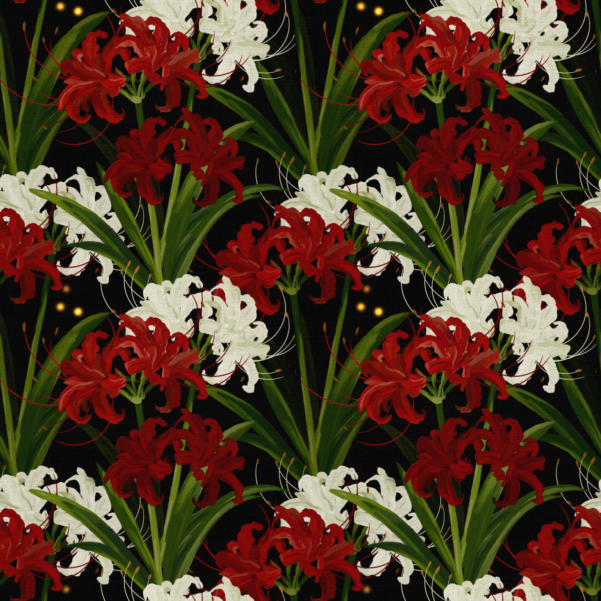 Lycoris Noir Midnight Romance white red flowers bloom Wall Mural in your room