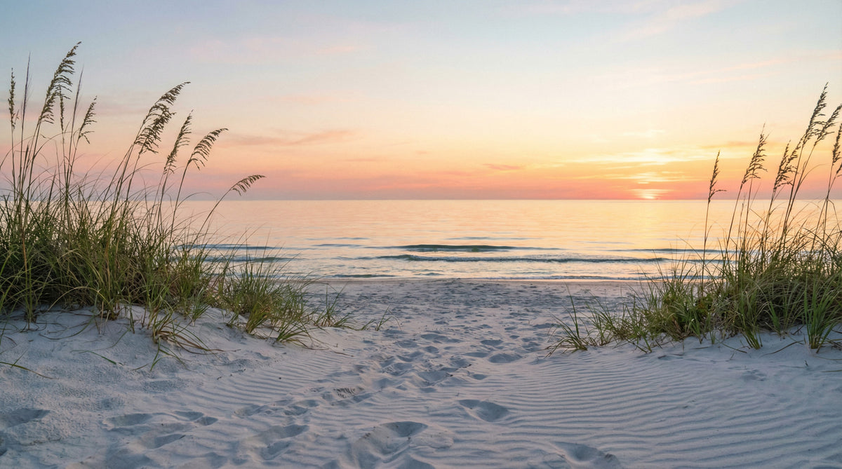 Sunrise Shores Wall Mural in your room