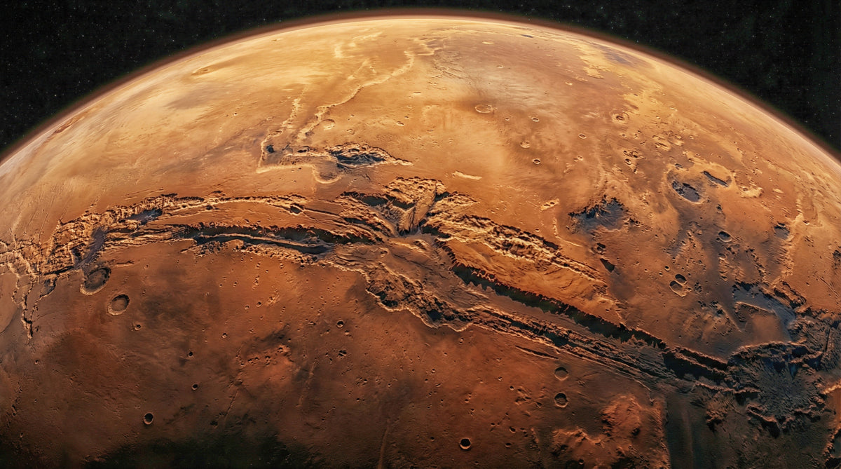 Martian Vista Wall Mural in your room