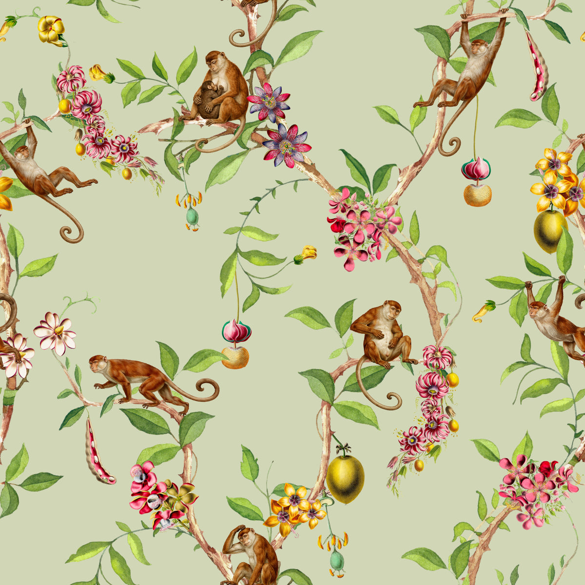 Whimsical Playing Monkeys Family Vintage Exotic Garden green Wallpaper⁠ in your room — zoomed