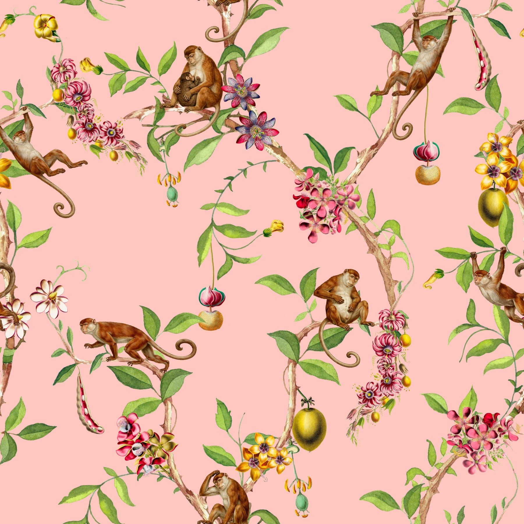 Whimsical Playing Monkeys Family Vintage Exotic Garden pink Wallpaper⁠