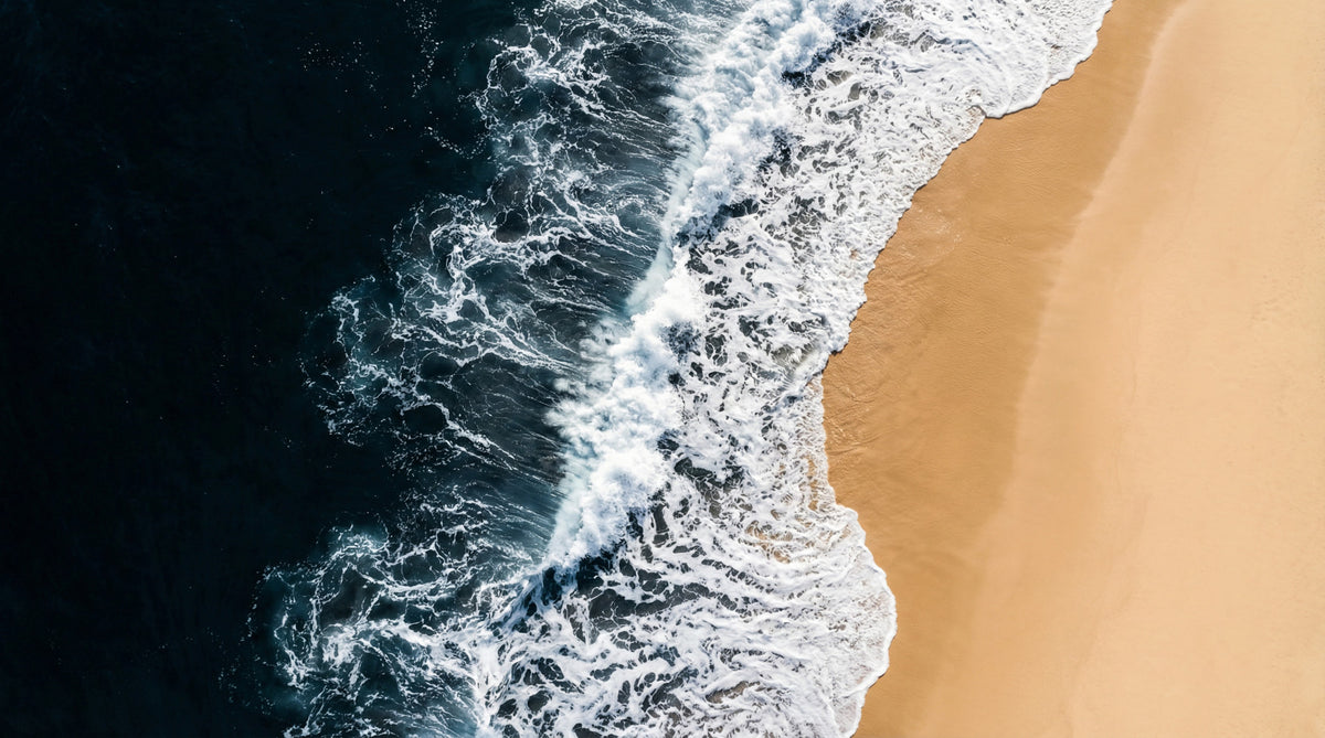 Shoreline Wall Mural