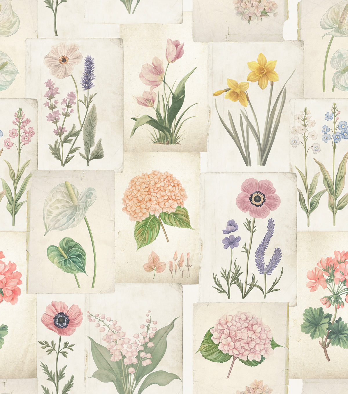 Pastel Floral Botanical Collage Wallpaper⁠ in your room — zoomed