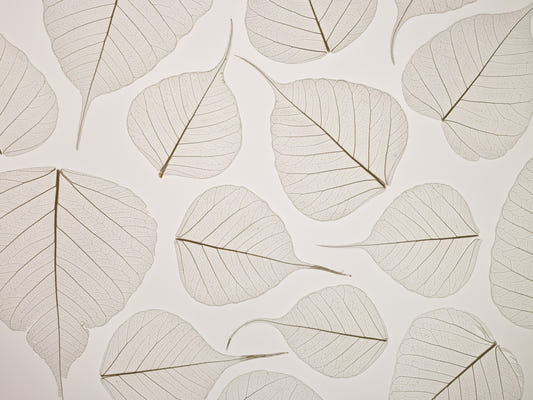 Skeletal Leaves Wall Mural