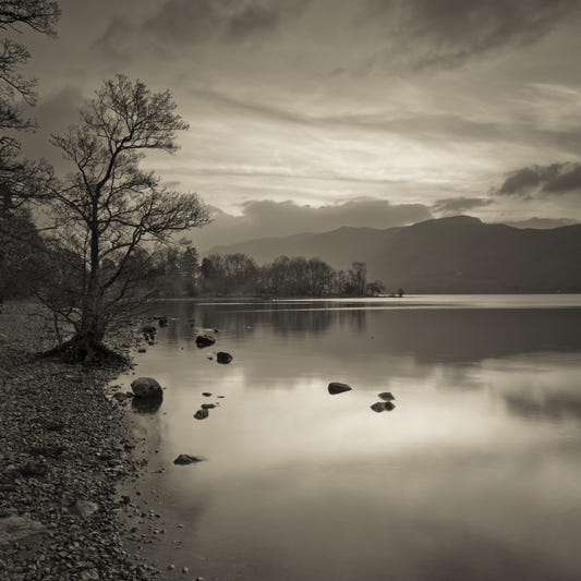 Still Lake at Dusk Wall Mural