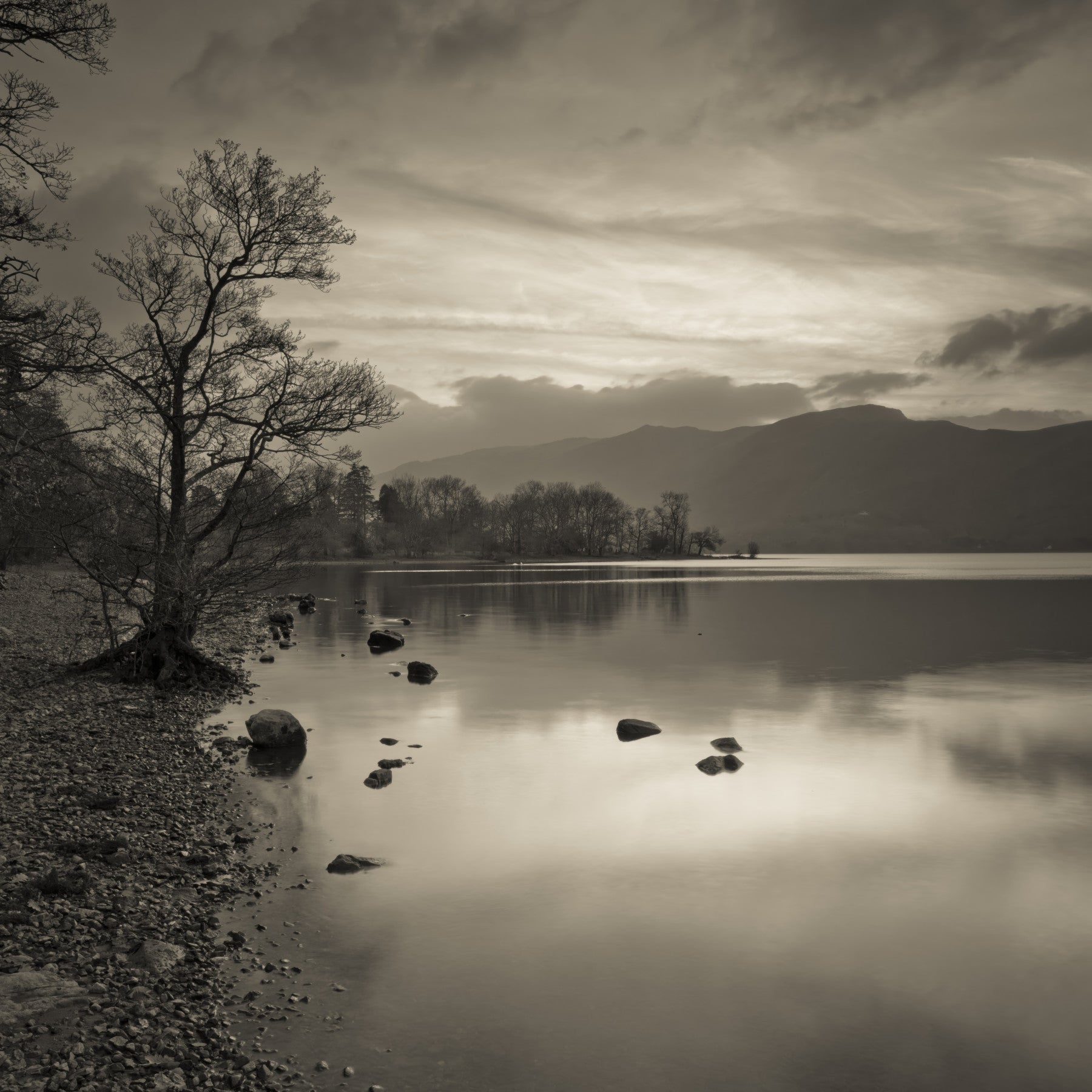 Still Lake at Dusk Wall Mural