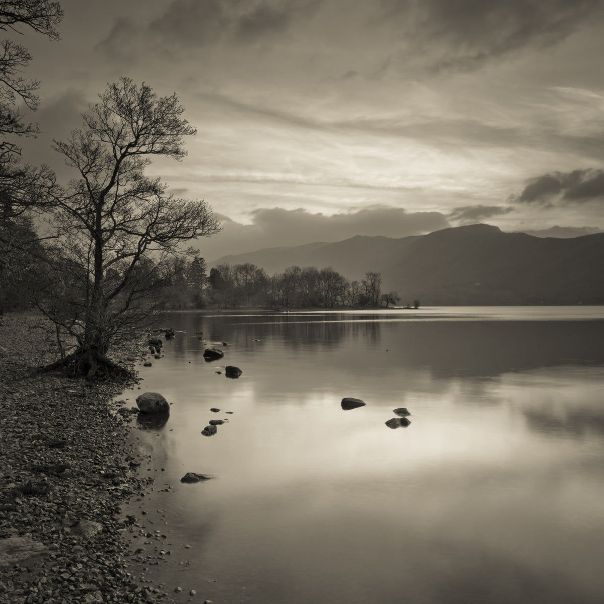 Still Lake at Dusk Wall Mural in your room — zoomed