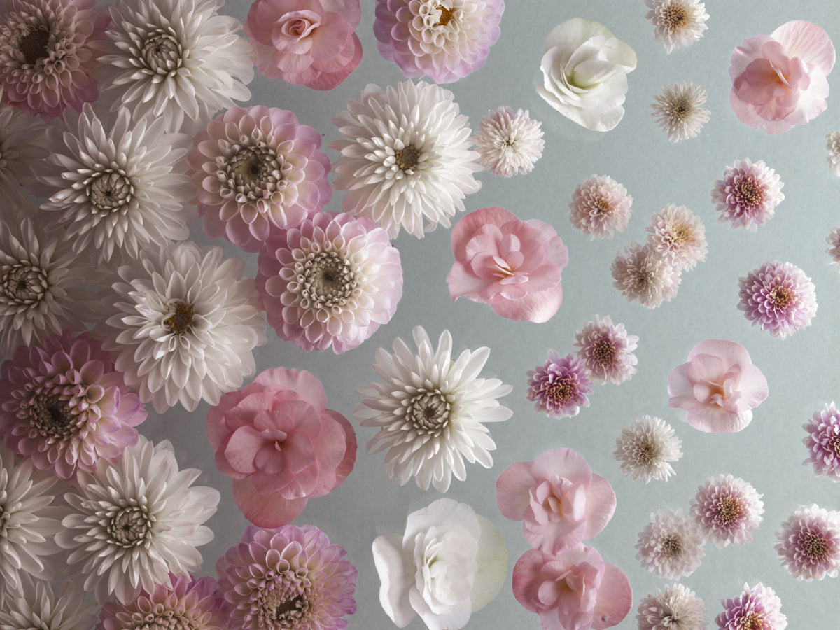 Bloom Bliss Wall Mural in your room