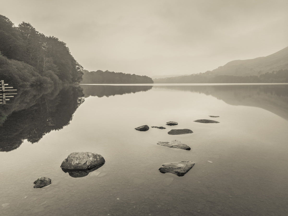 Lake Calmness Wall Mural in your room — zoomed