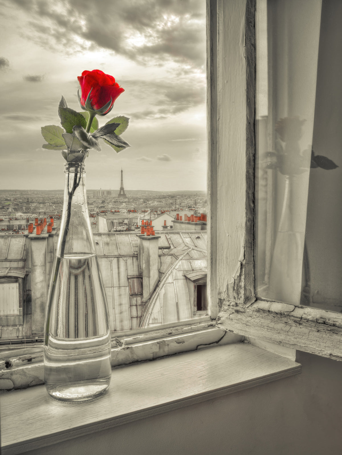 Parisian Bloom Wall Mural in your room — zoomed