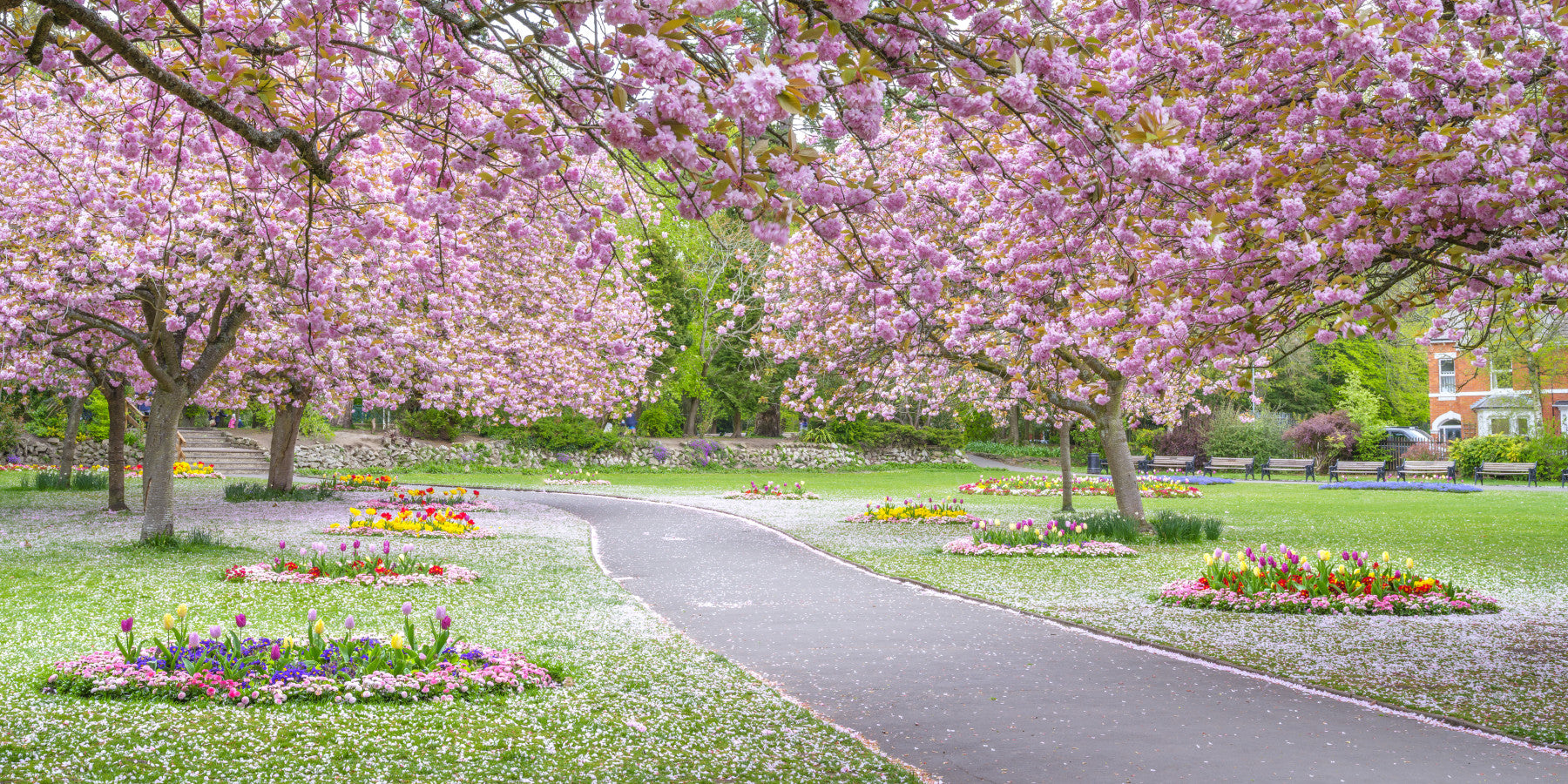 Pink flowering trees in this Blossom Park Wall Mural for living rooms