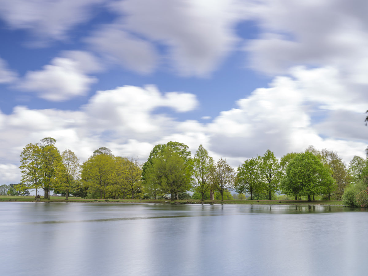 Lake Guardian Wall Mural in your room — zoomed
