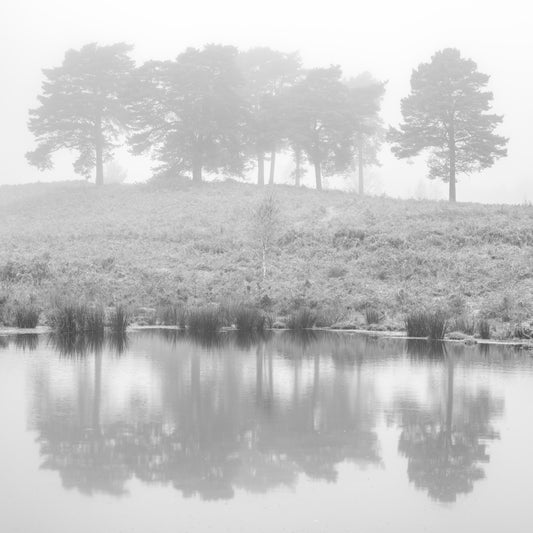 Mystical Reflections Wall Mural