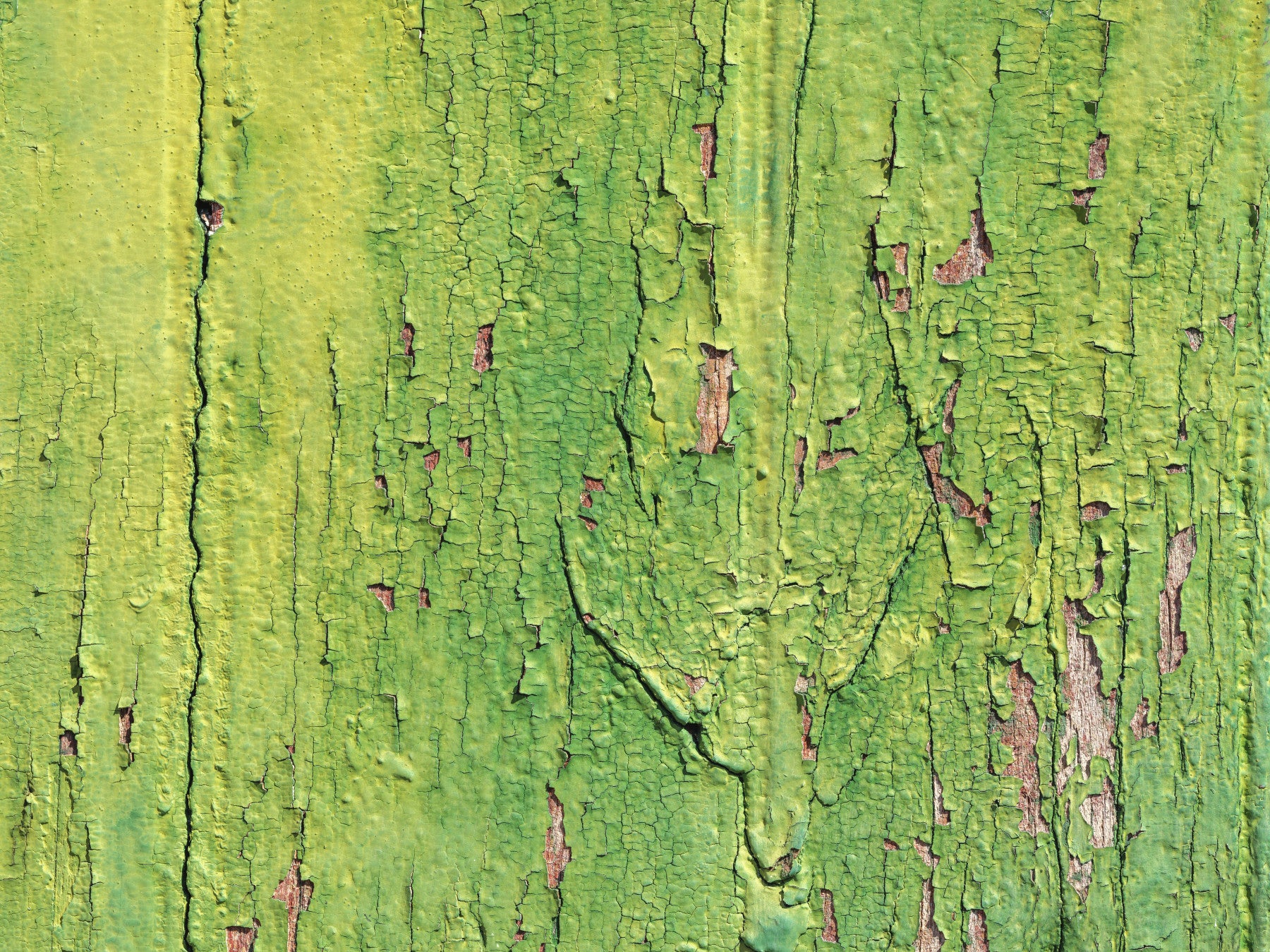 Rustic green for dining room wall mural featuring aged wood and peeling details.
