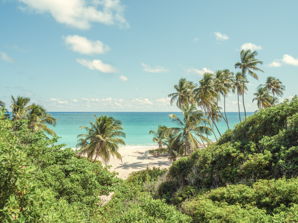 Serene Coastal Paradise Wall Mural in your room