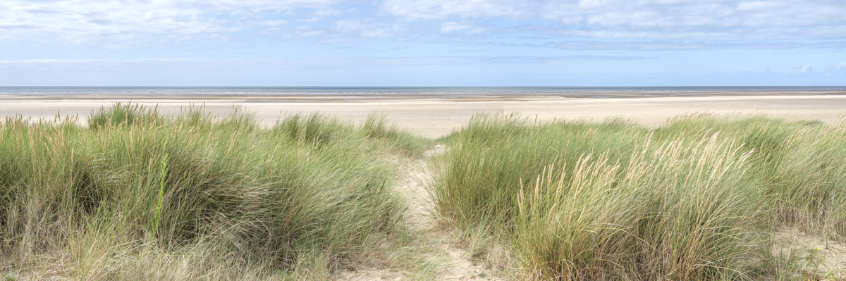 Grassland by the Sea Wall Mural in your room — zoomed