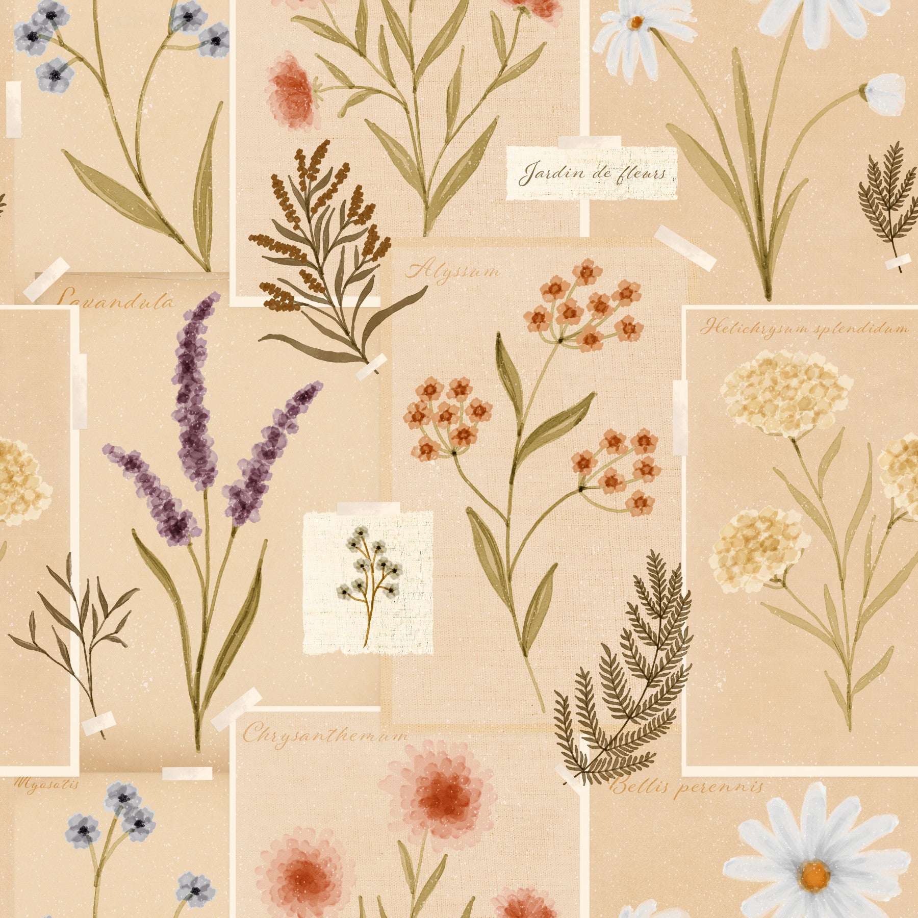 Botanical illustrations on Jardin des Fleurs Collage Vintage Wallpaper for a hallway.