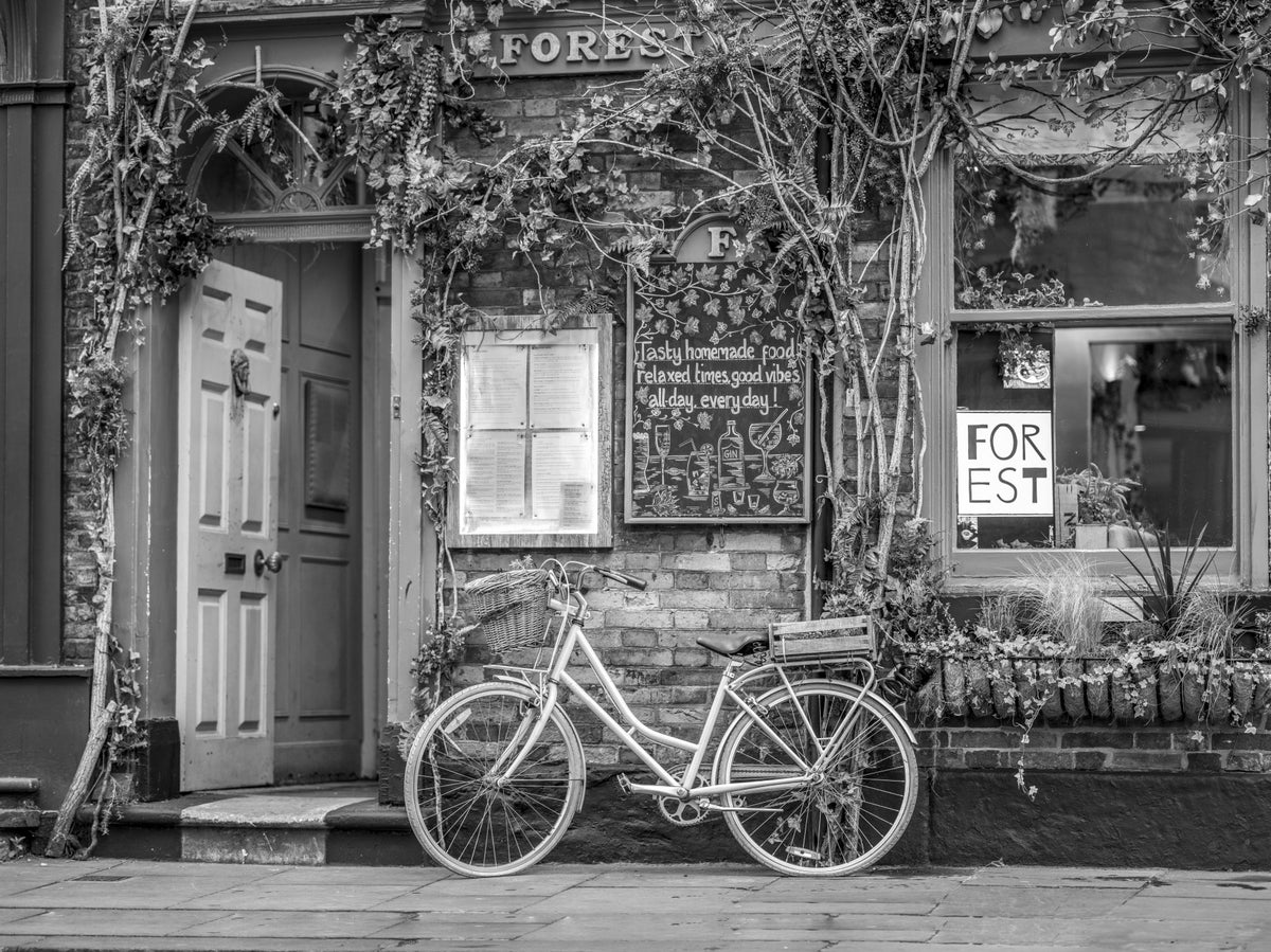 Bike at the Cafe Wall Mural in your room
