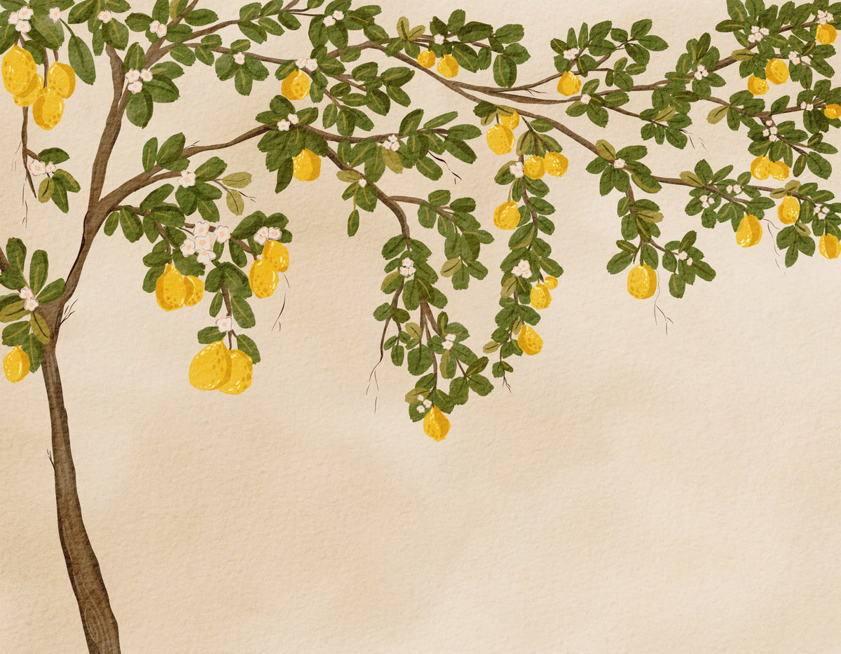 Lemon Grove Bloom Wall Mural in your room