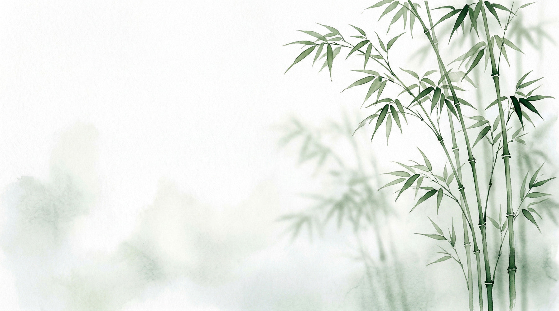 Bamboo wall mural showcasing soft green tones and shadows for restaurants 