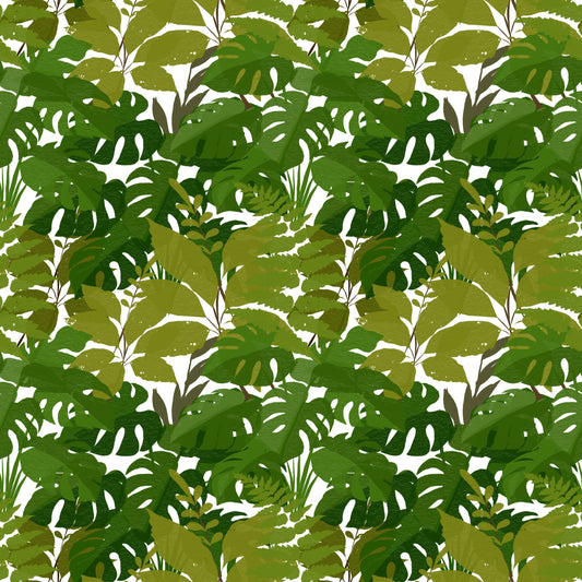 Lush Leaf Canopy Monstera Leaves Wallpaper⁠