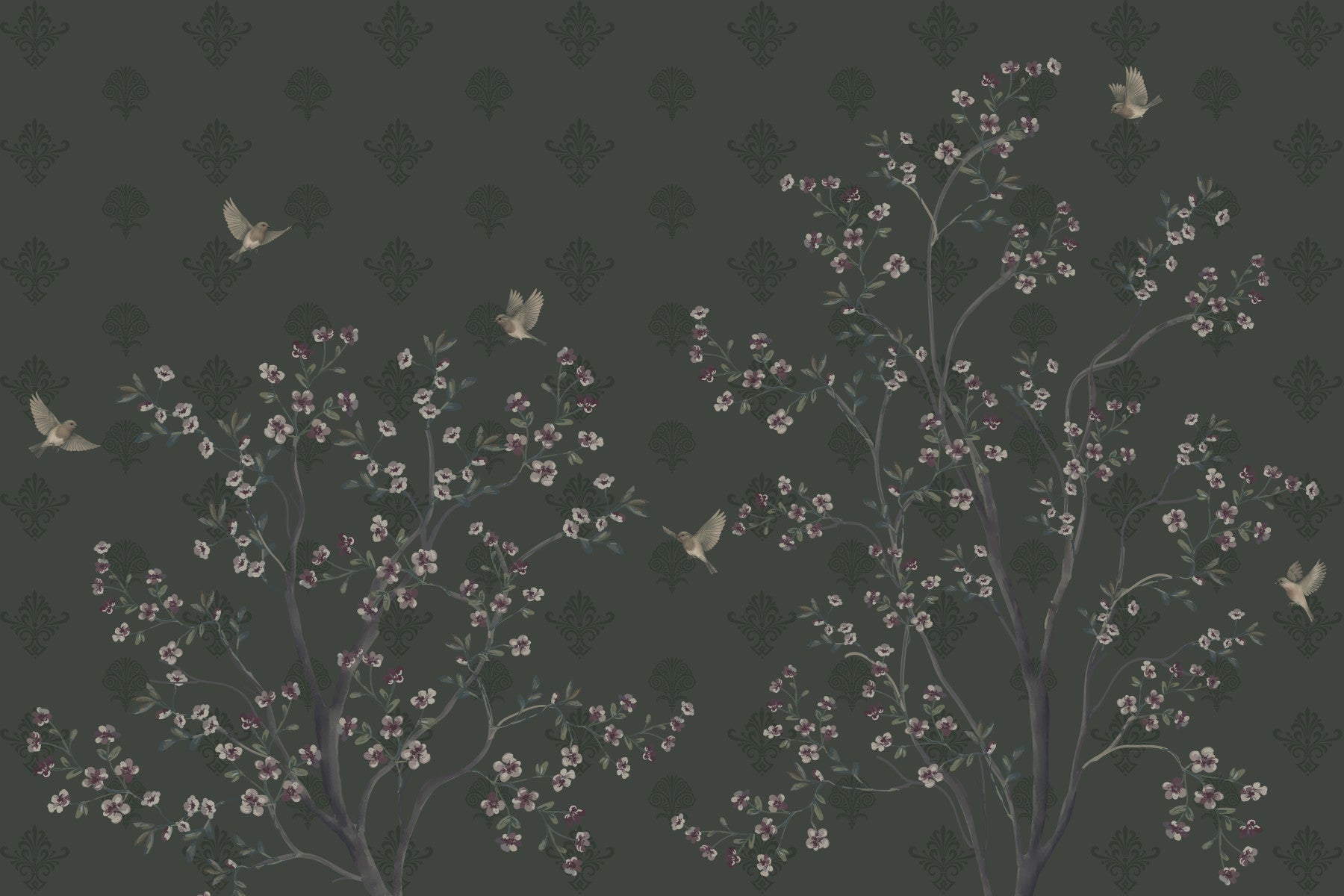 Wisteria blossoms meet Elegant Avian Bloom for bedroom Wall Mural on dark green.