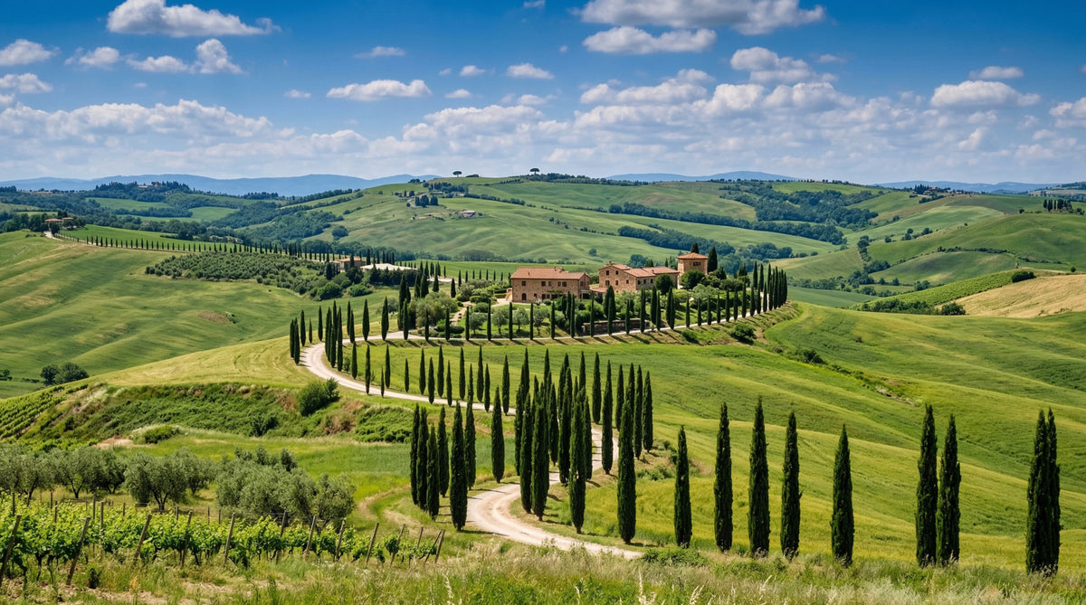 Tuscan Cypress Serenity Wall Mural in your room