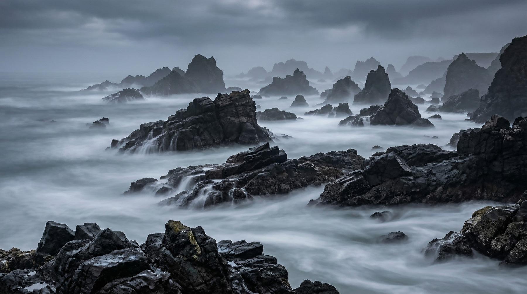 Grey Coast Mystique Wall Mural