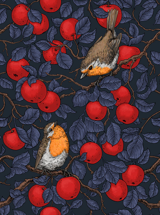 Robins in the apple tree/blue and red  Wallpaper⁠