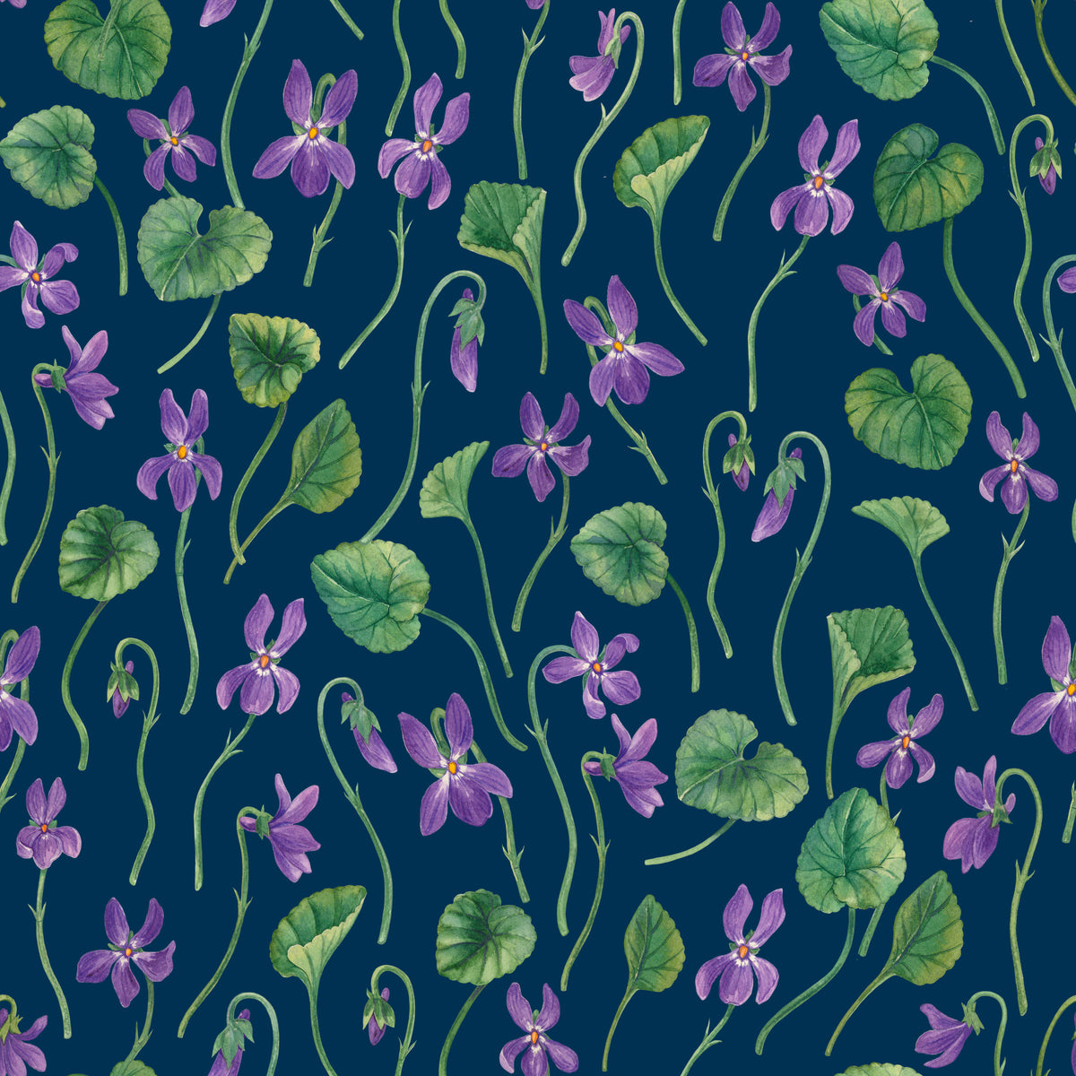 Watercolor violets on blue Wallpaper⁠