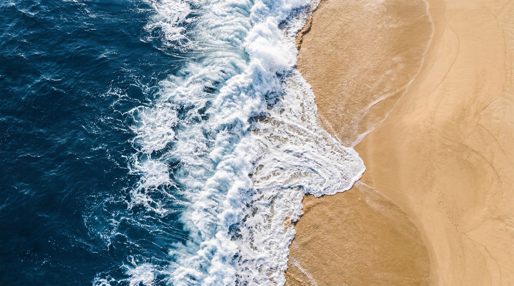 Sea Vs Land Wall Mural
