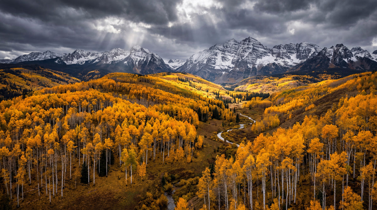 Sunlit Aspen Valley Wall Mural in your room — zoomed