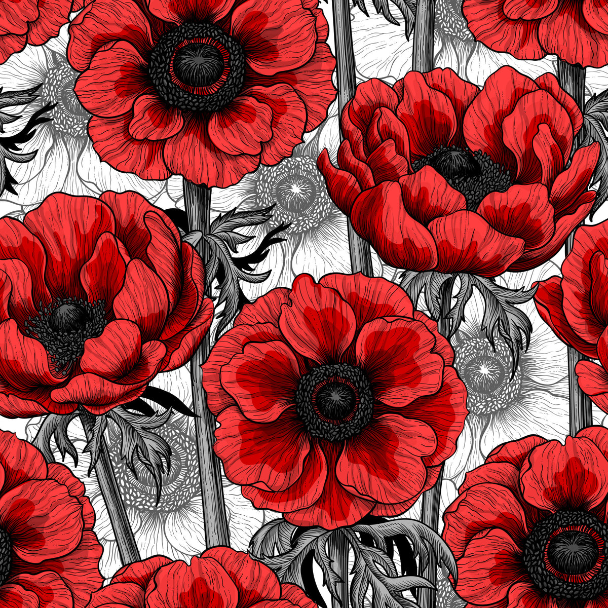 Red anemone garden on white Wallpaper⁠ in your room — zoomed